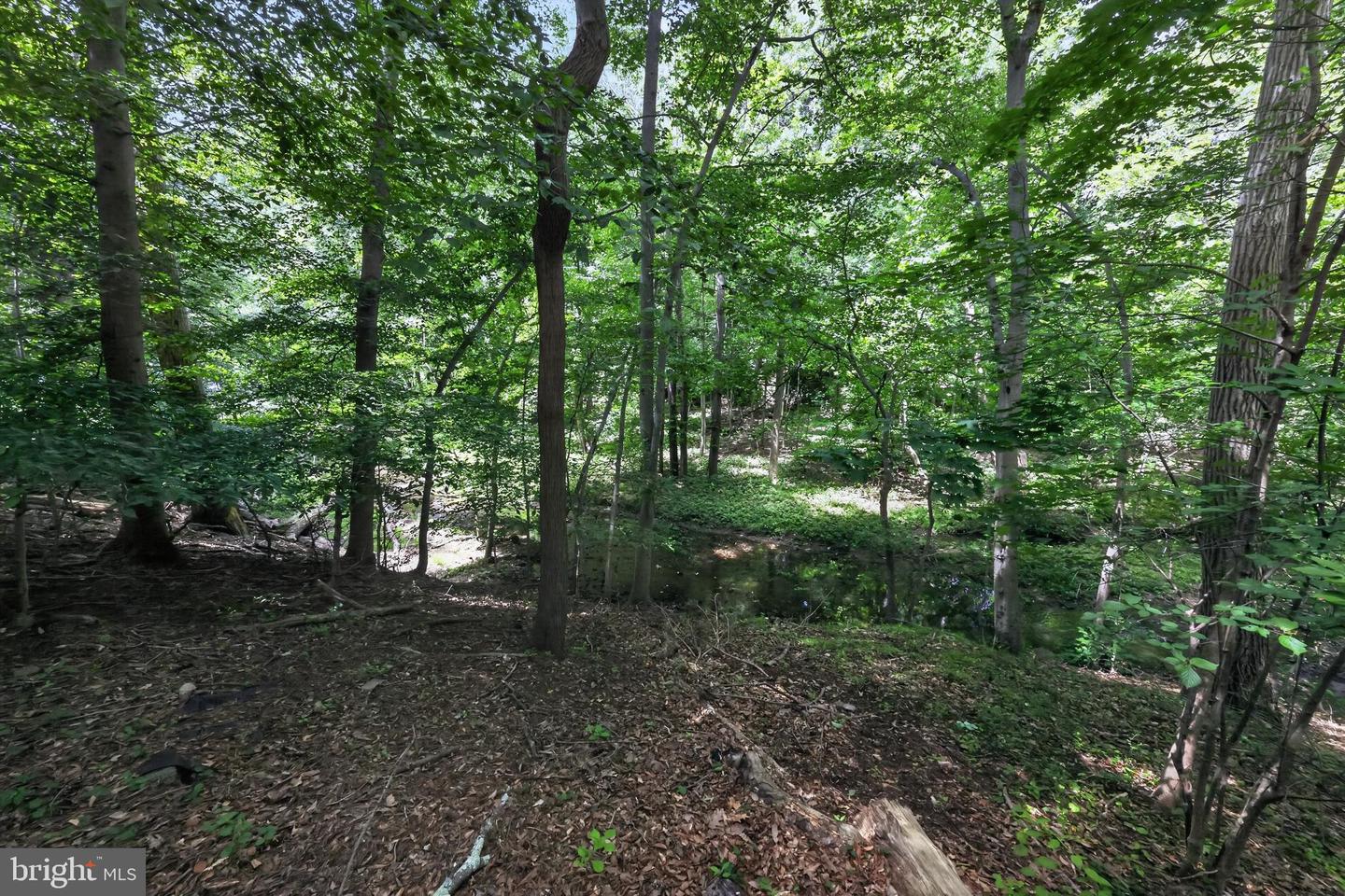 510 N Lemon St #d2 Property Photo 28