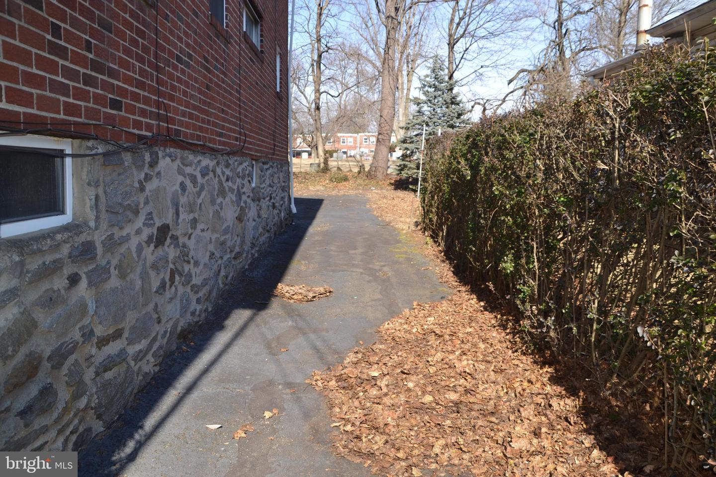 246 Ardmore Ave Property Photo 22