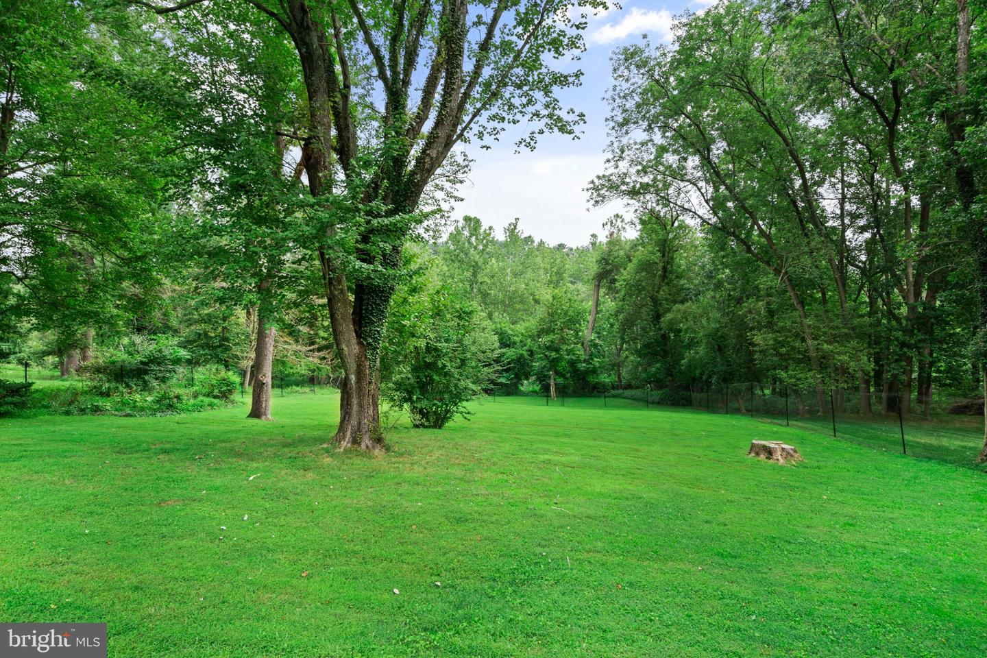 300 Timber Jump Ln Property Photo 48