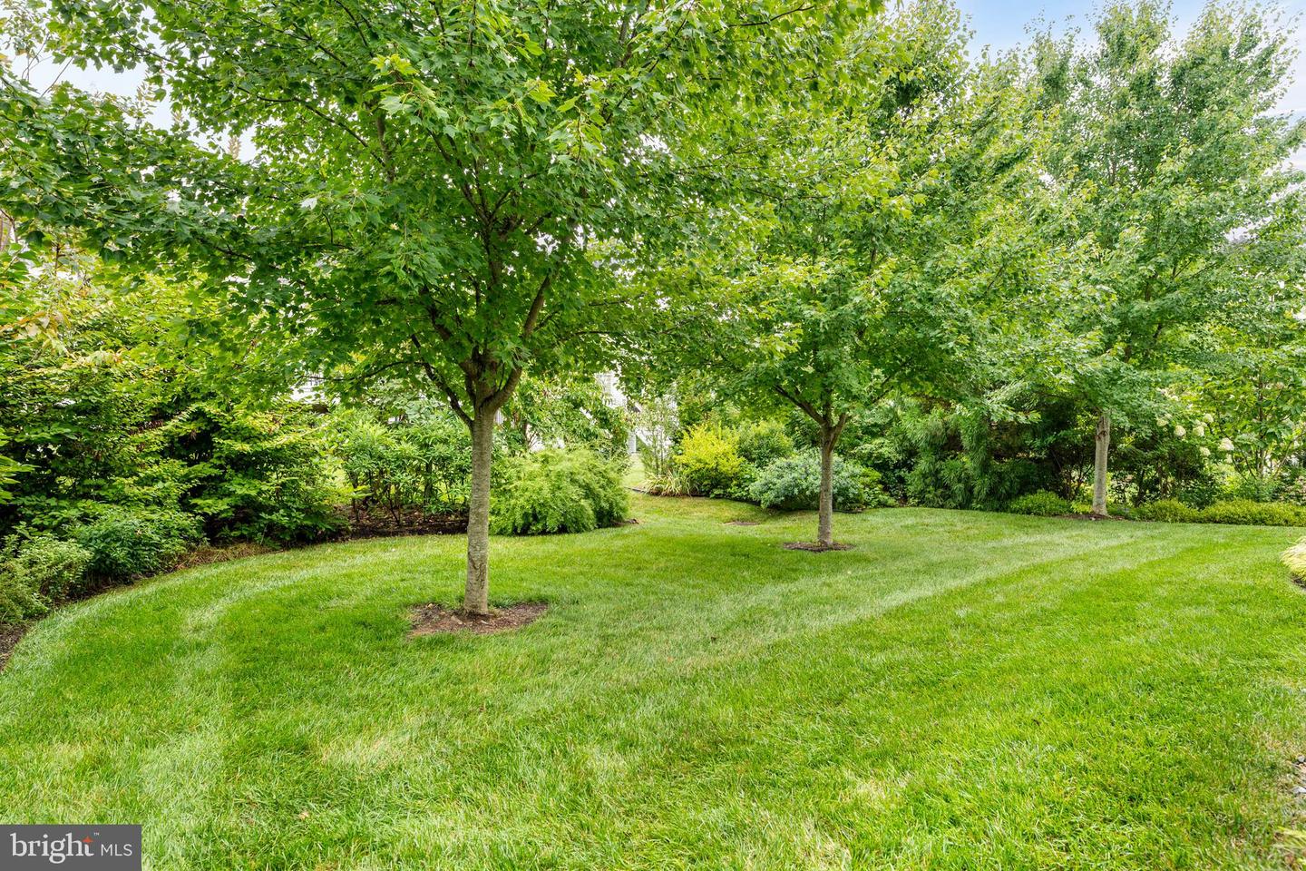 303 Park Hill Ln Property Photo 41