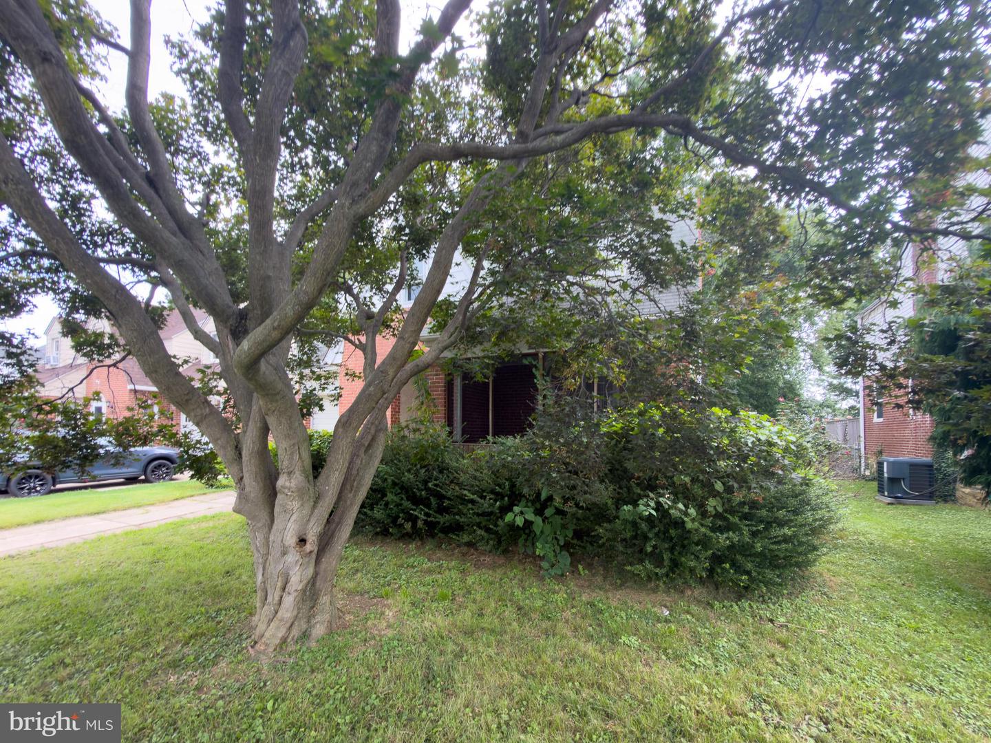 1240 Jefferson Ave Property Photo 16