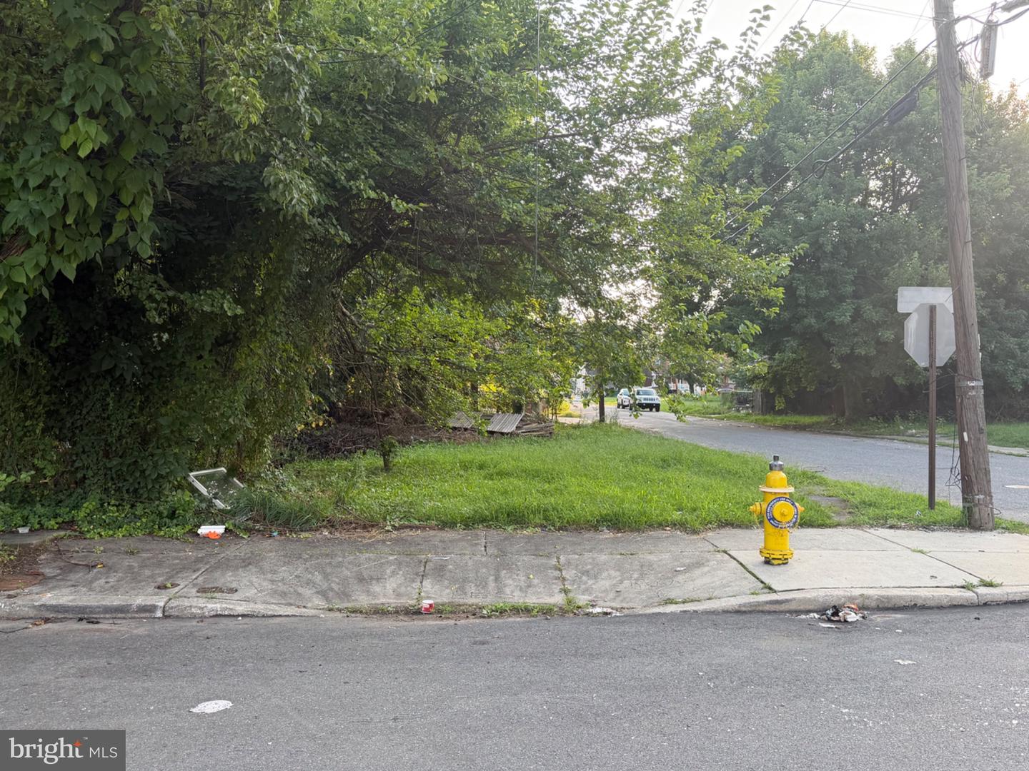 1118 Potter St Property Photo 3