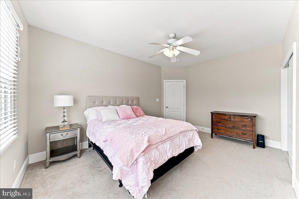 13 Poplar Rd Property Photo 39