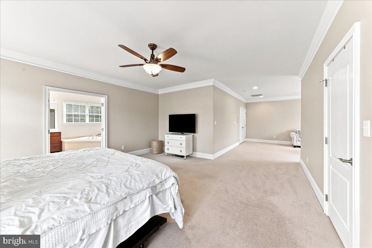 13 Poplar Rd Property Photo 44