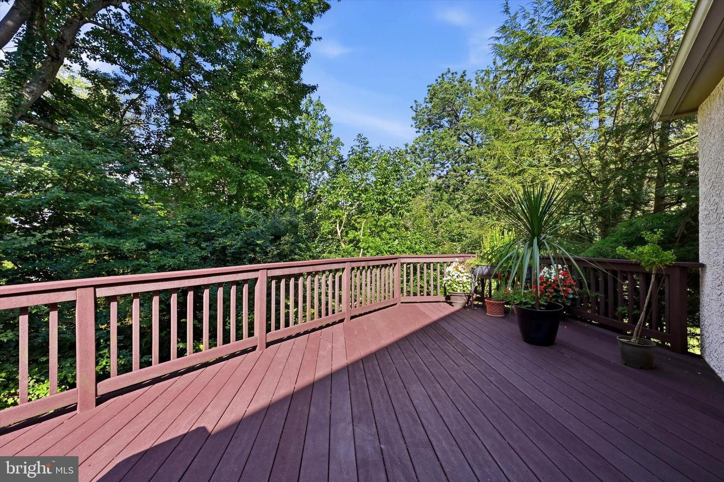 100 Park Ln Property Photo 38