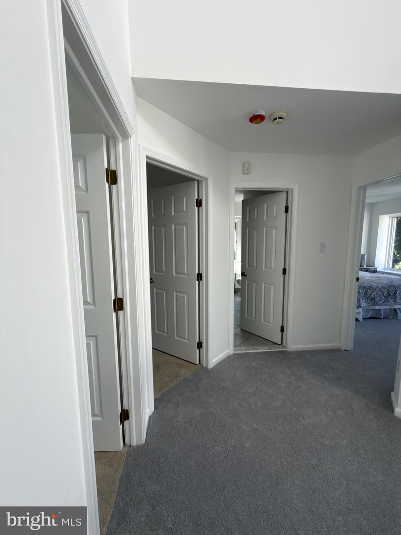 4344 Trophy Dr Property Photo 43
