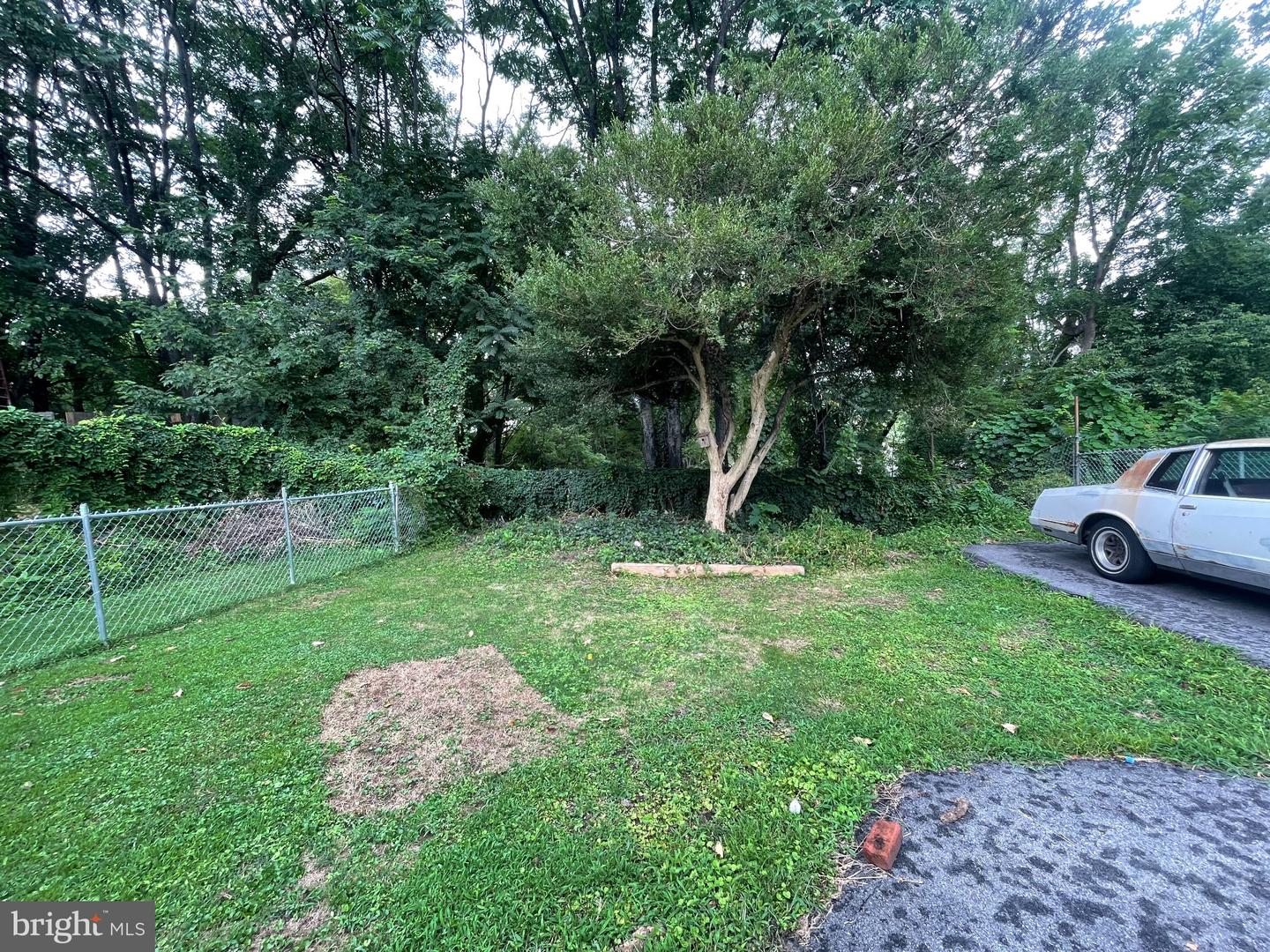 1829 Shallcross Ave Property Photo 27