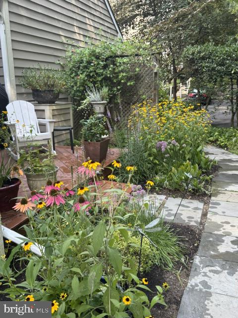 441 Wooded Way Property Photo 37