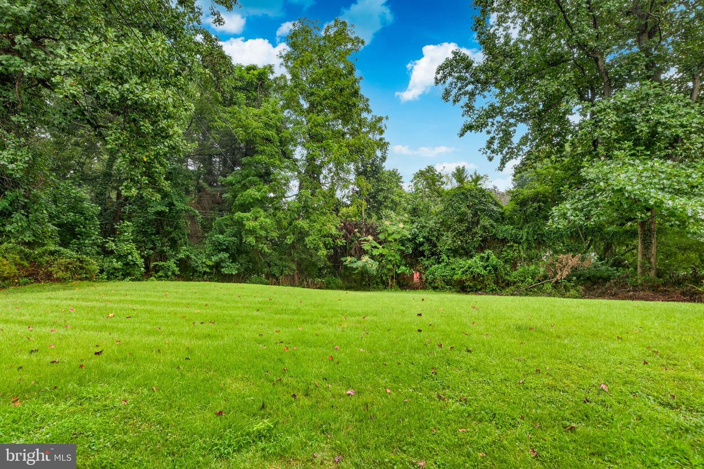 905 Ridley Creek Dr Property Photo 77