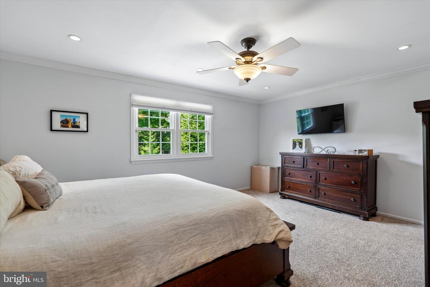 4 Hibberds Pl Property Photo 19