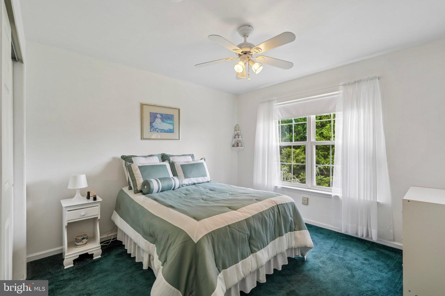 42 James Hayward Rd Property Photo 22