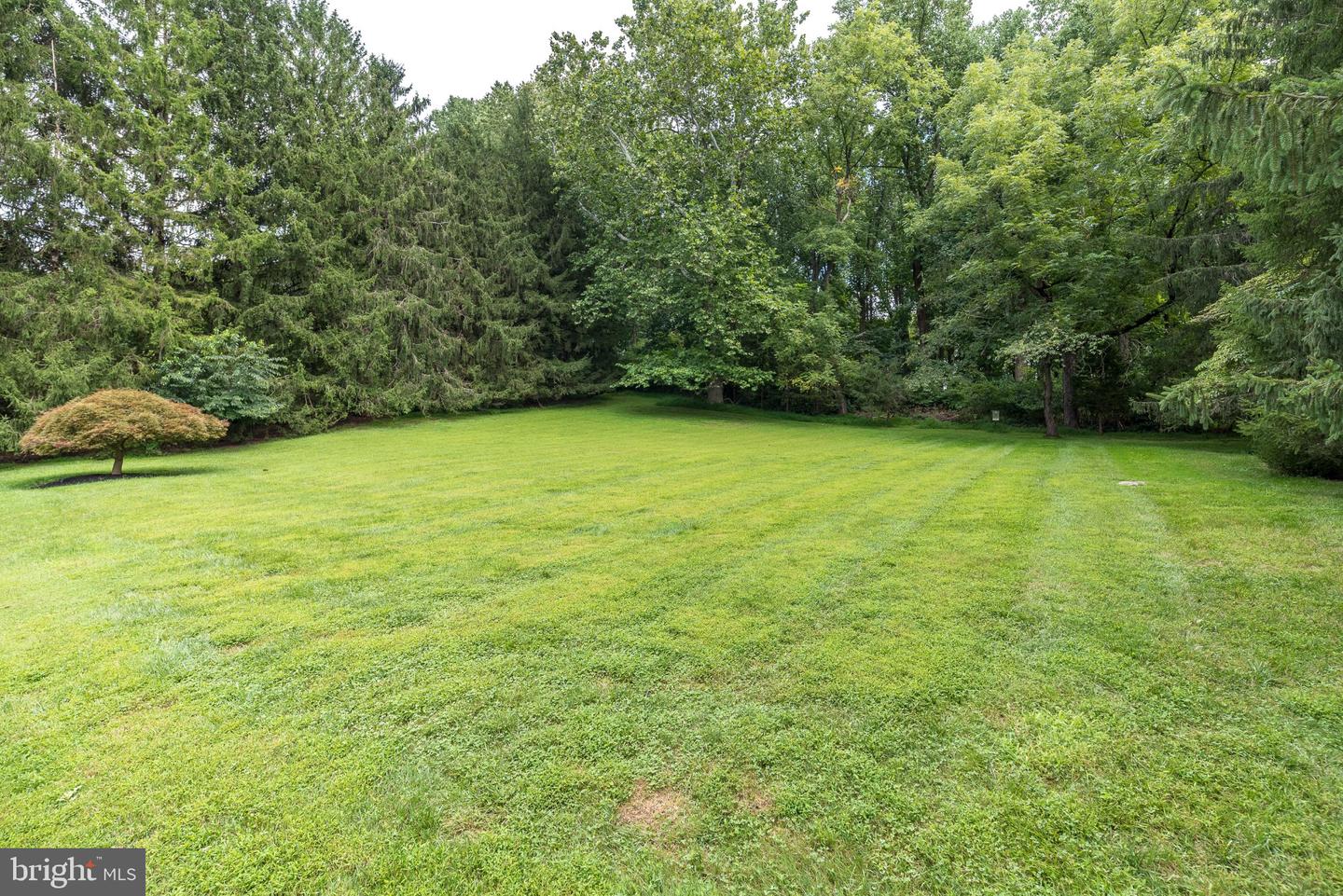 80 Mendenhall Dr Property Photo 84