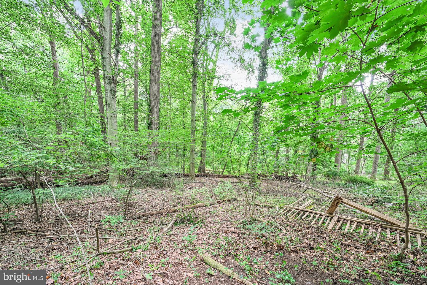 9 Wooded Ln Property Photo 50