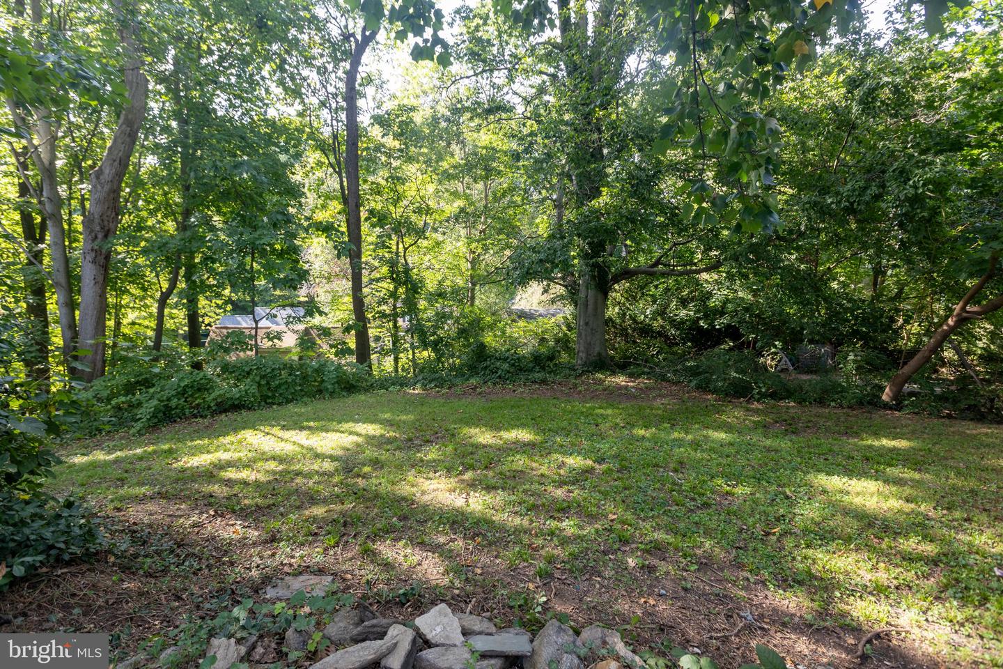 1504 Delmont Ave Property Photo 25