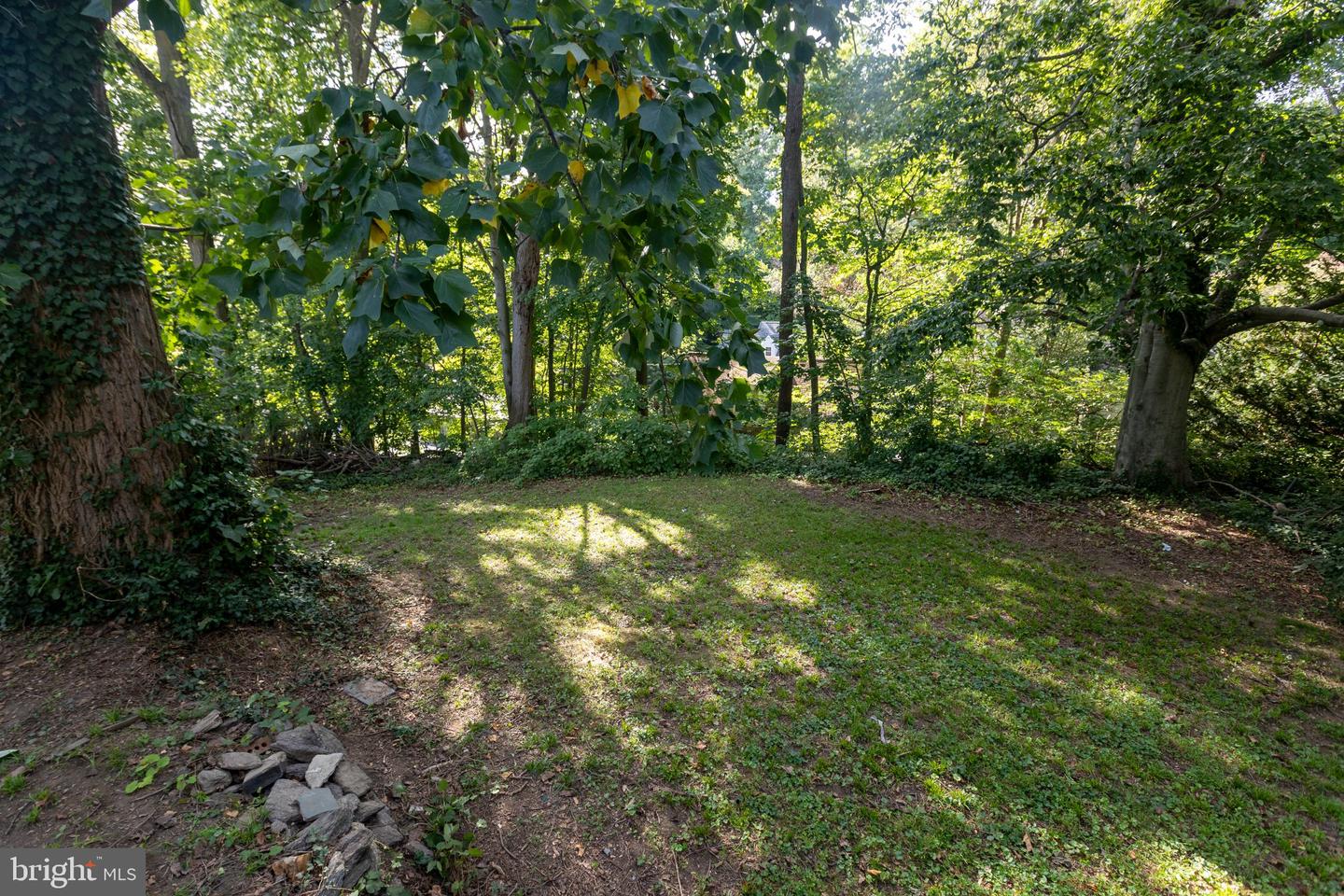 1504 Delmont Ave Property Photo 26