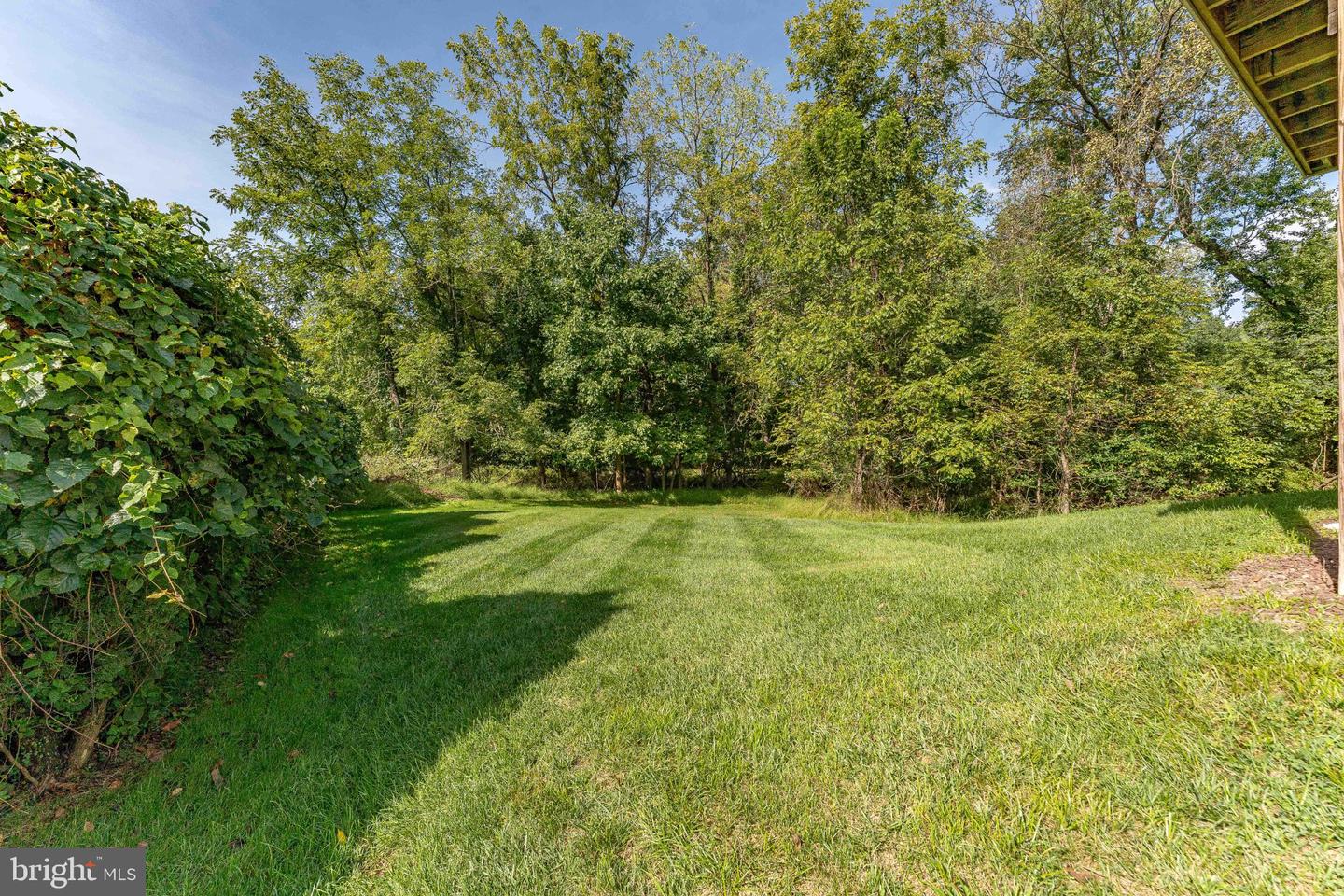 1422 Brayden Dr Property Photo 41