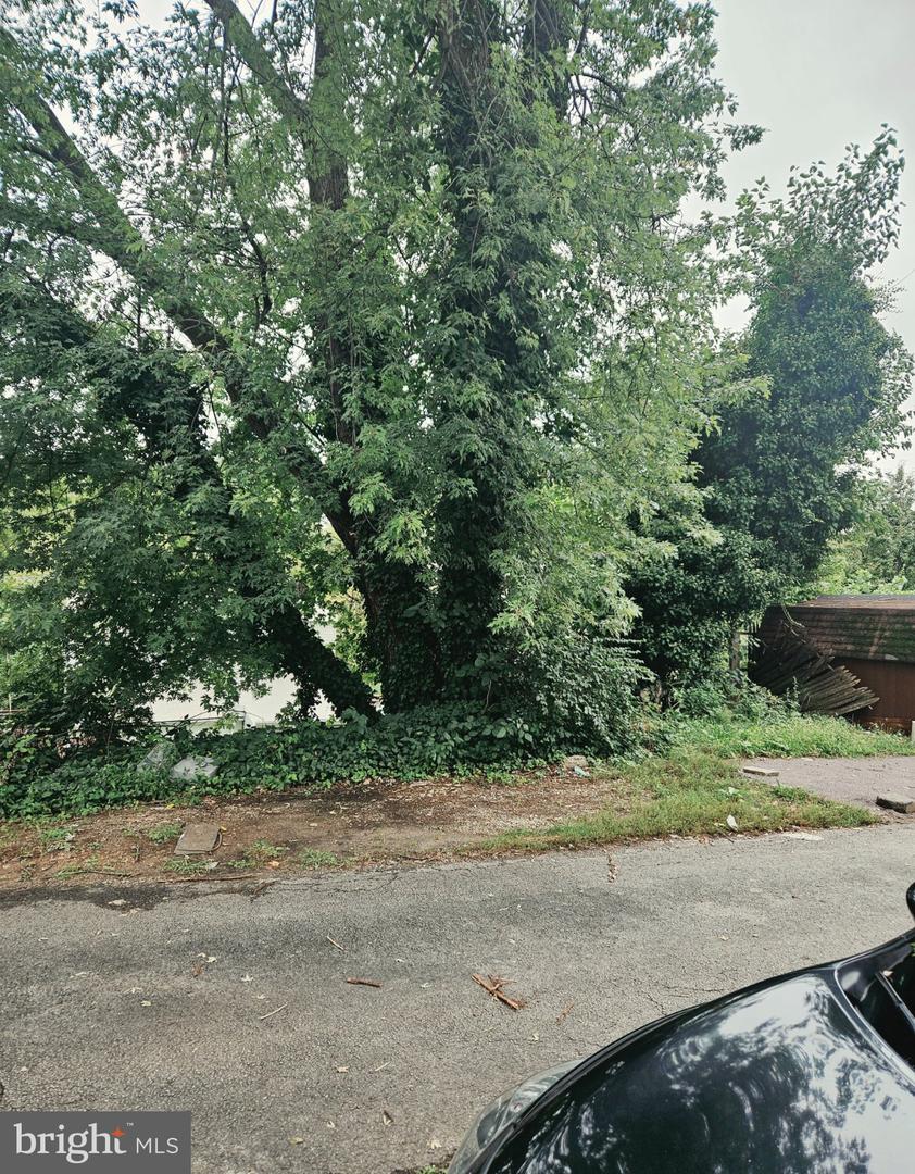 6732 Montgomery Ave Property Photo 10