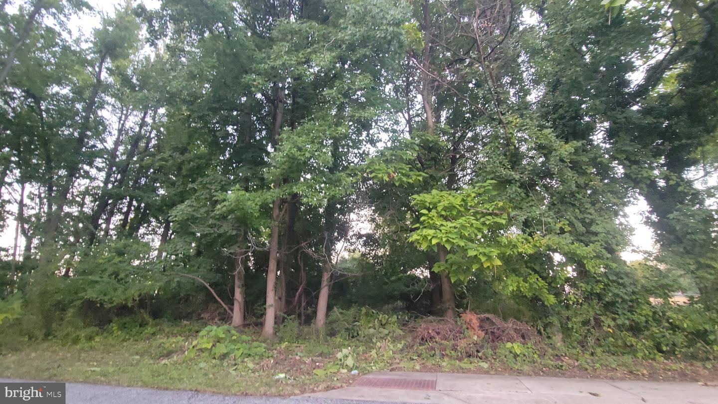 0 Arlington St Property Photo 1
