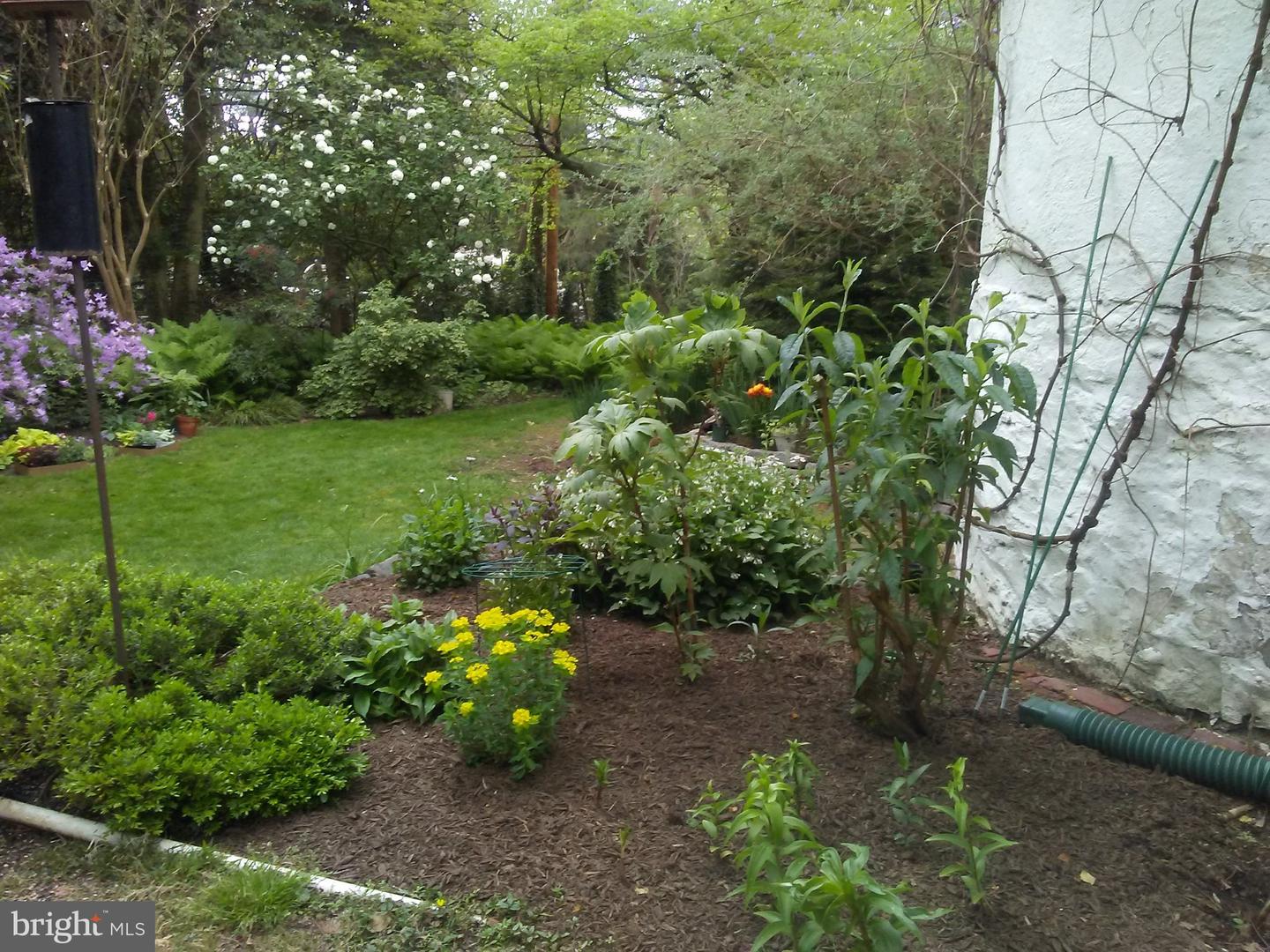 4 Swarthmore Pl Property Photo 3