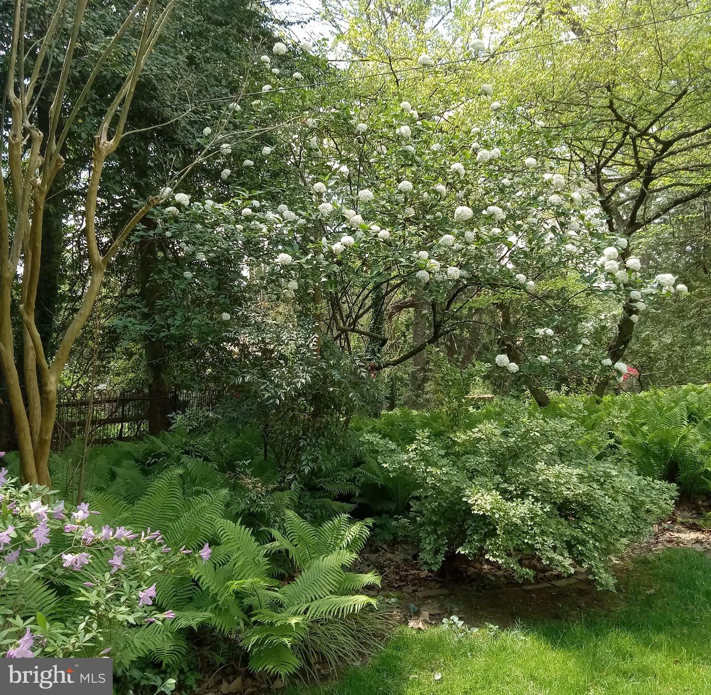 4 Swarthmore Pl Property Photo 61