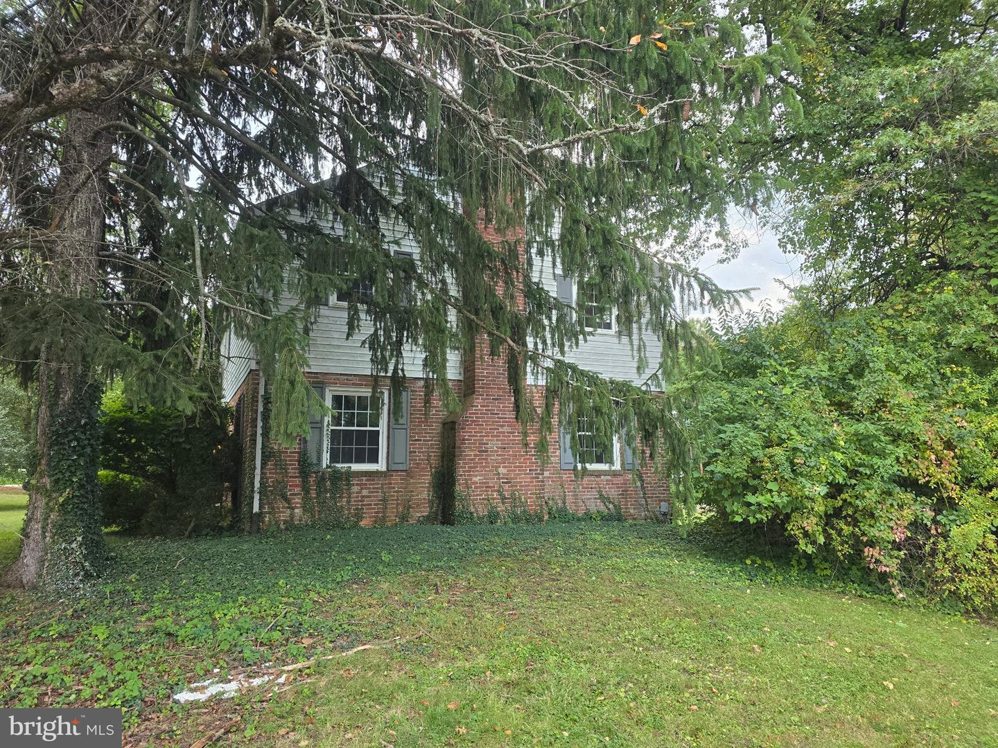 708 Camp Woods Rd Property Photo 3