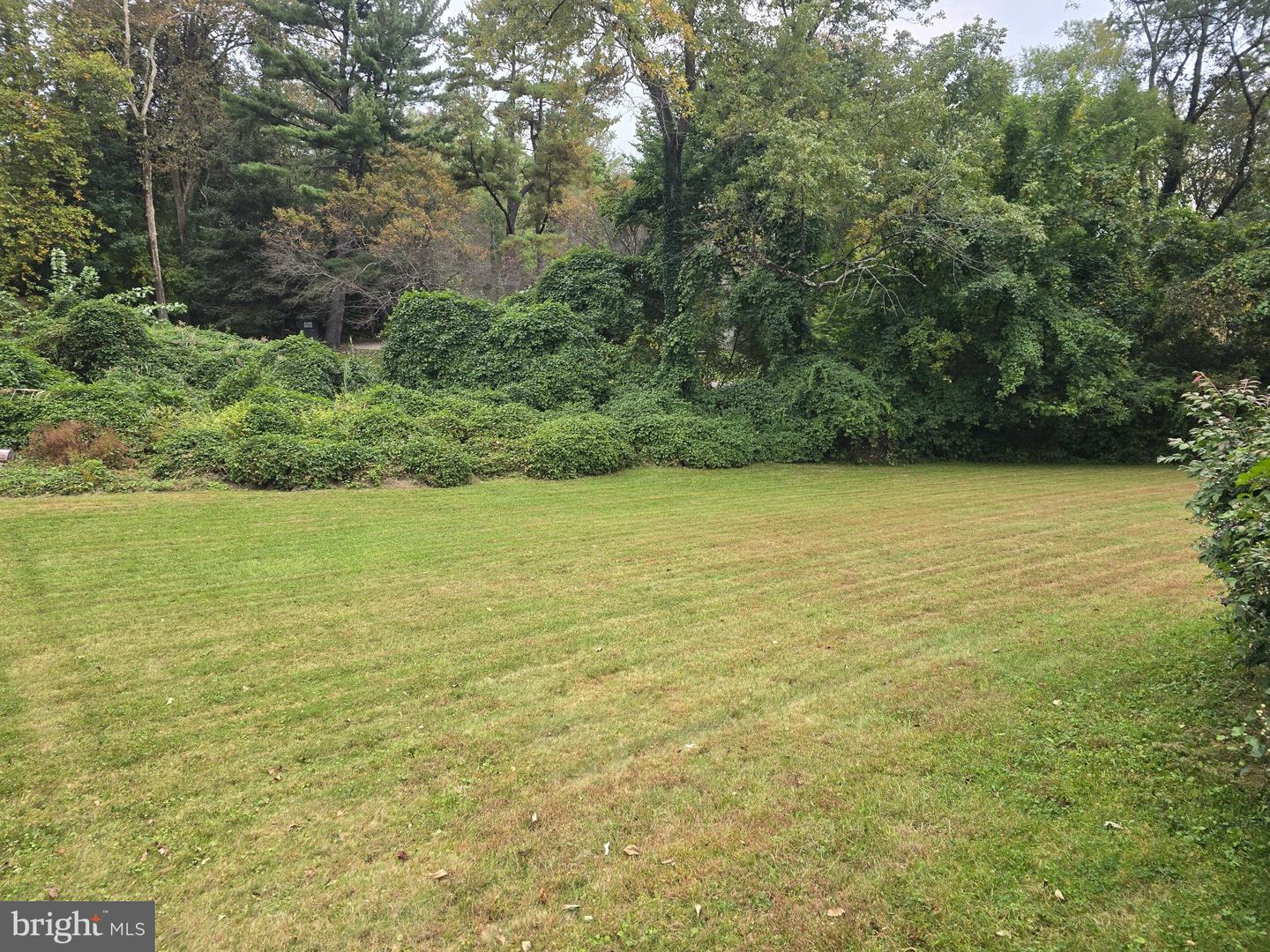 708 Camp Woods Rd Property Photo 7