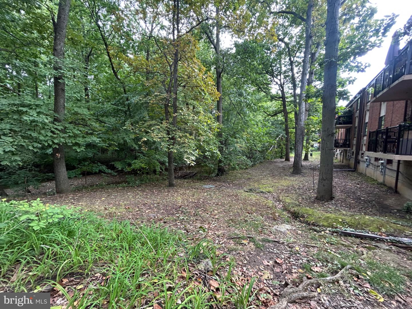 100 E. Glenolden Ave. #f4 Property Photo 35