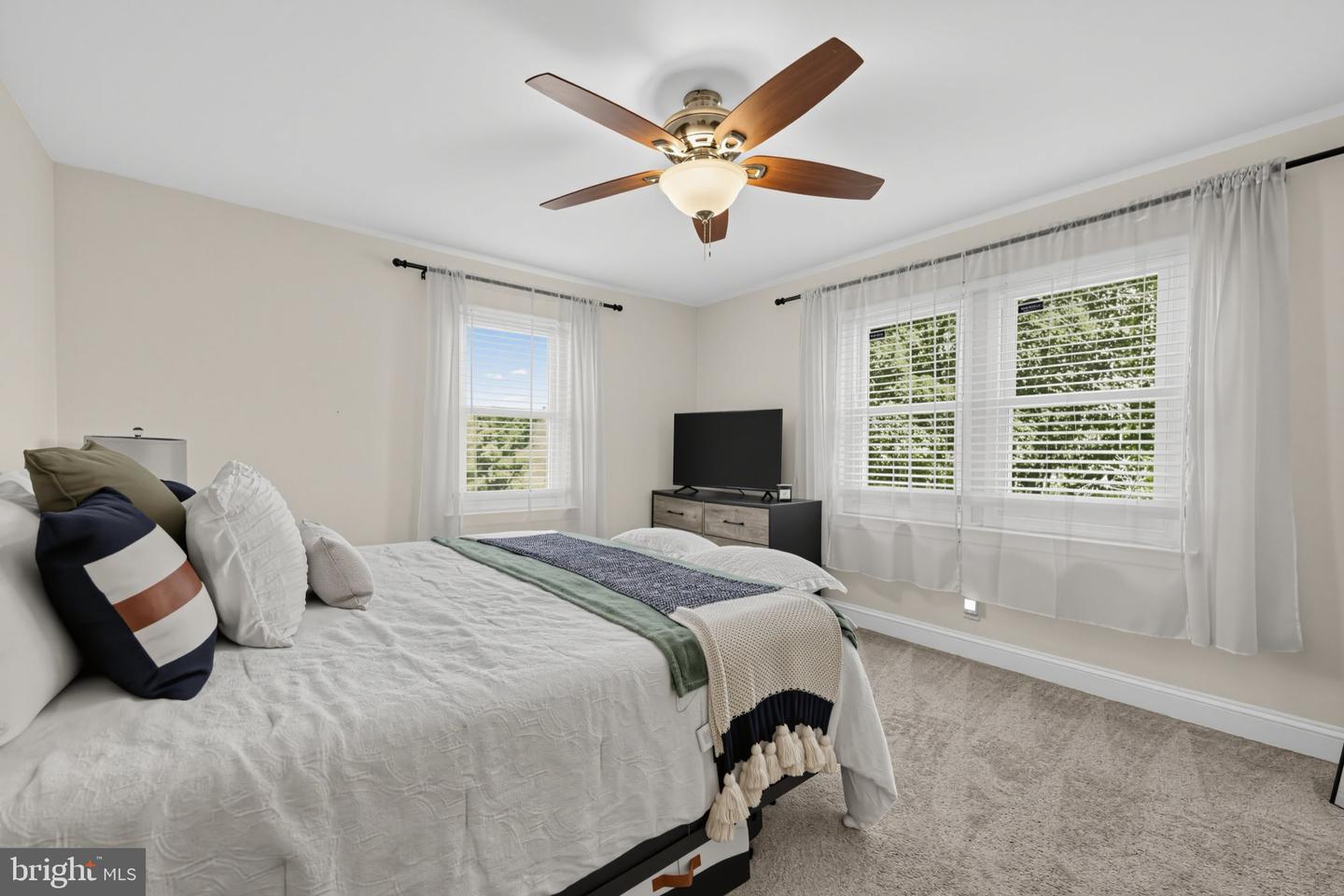 44 Greenhill Rd Property Photo 19