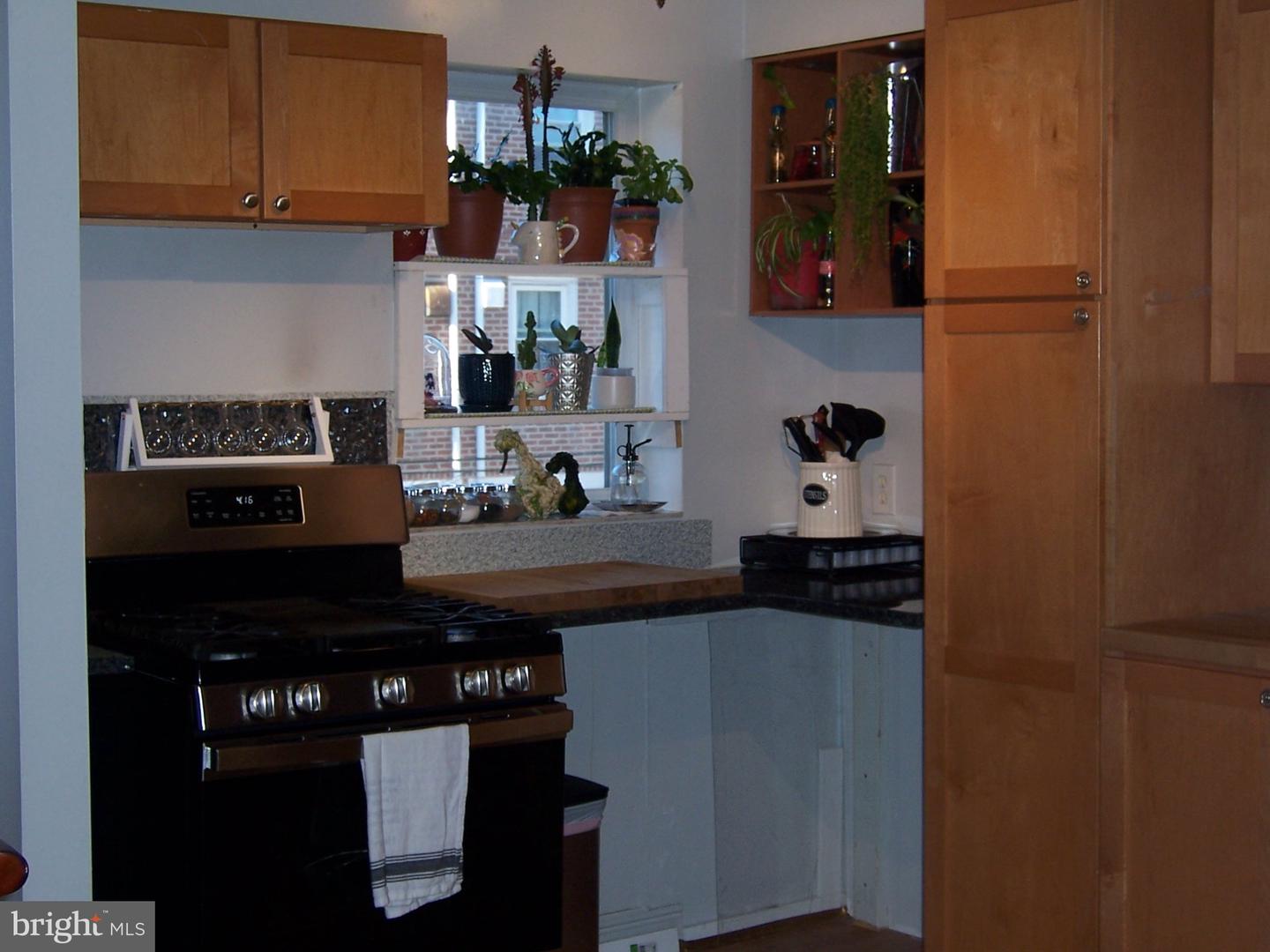 317 Spruce St Property Photo 13