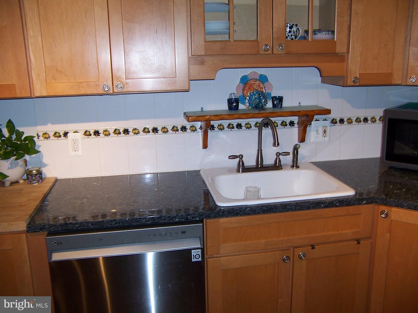 317 Spruce St Property Photo 15