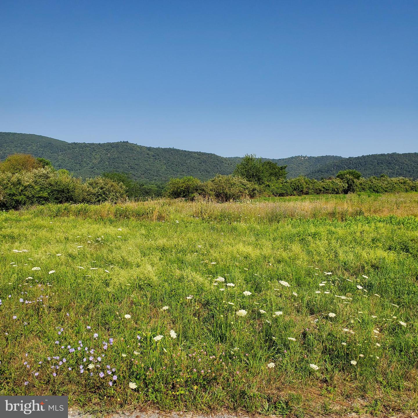 Lot 14 Sunrise Ln Property Photo 6