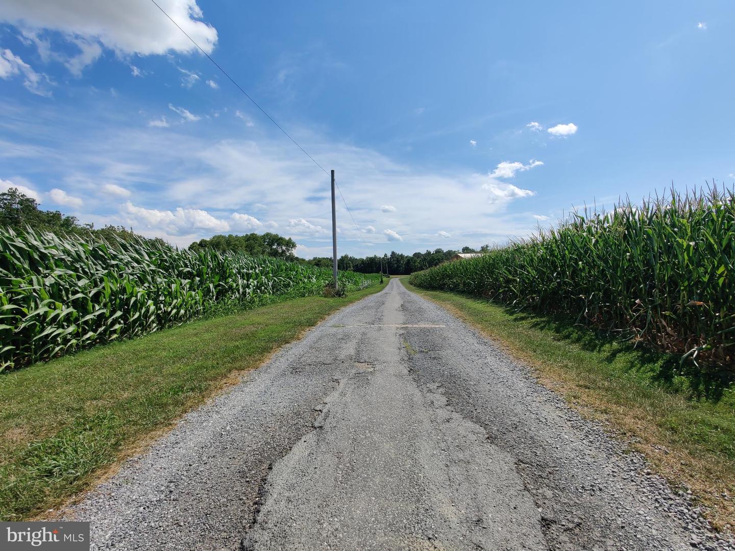 226 Milnor Road Property Photo 4