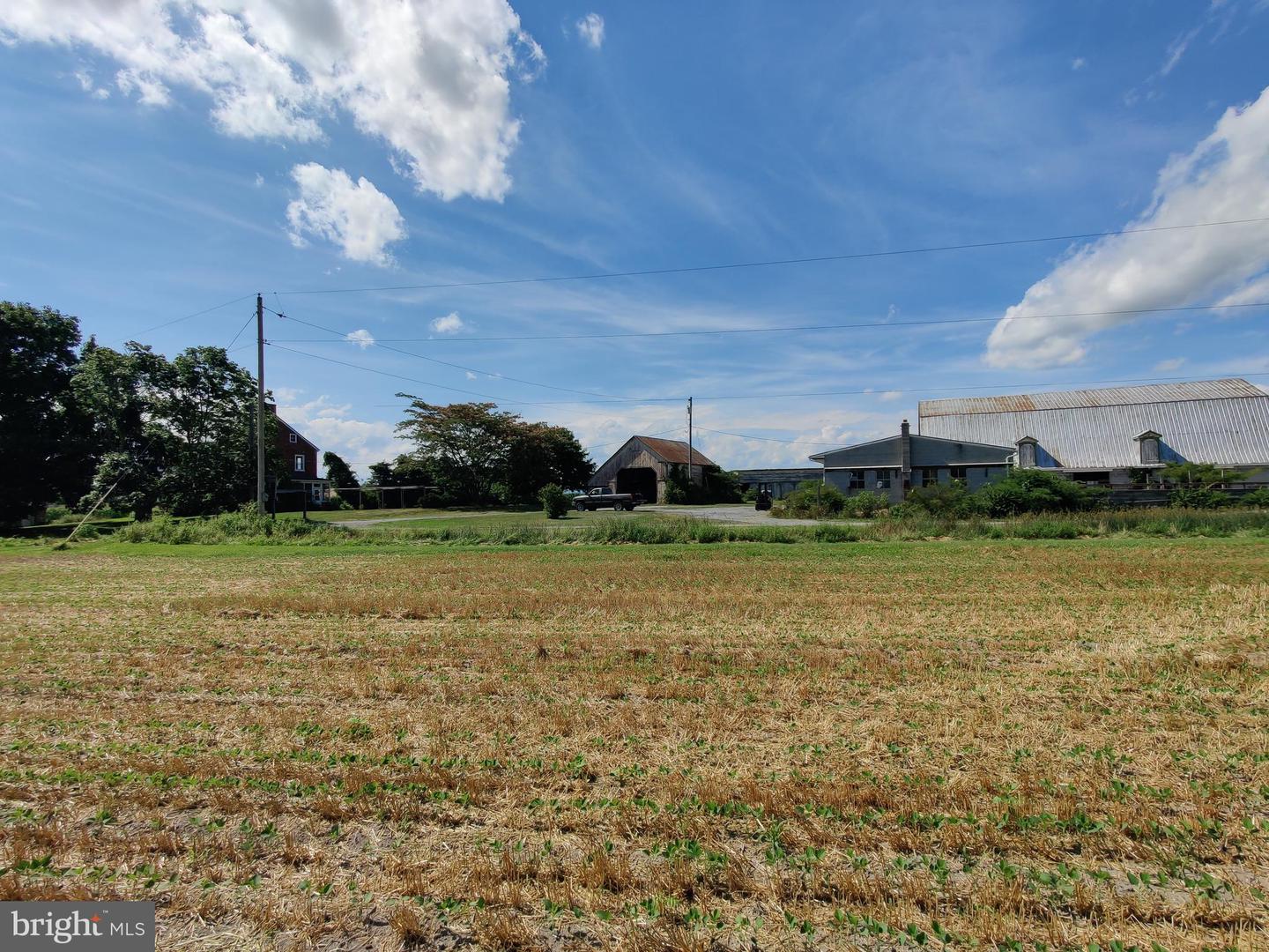 226 Milnor Road Property Photo 3