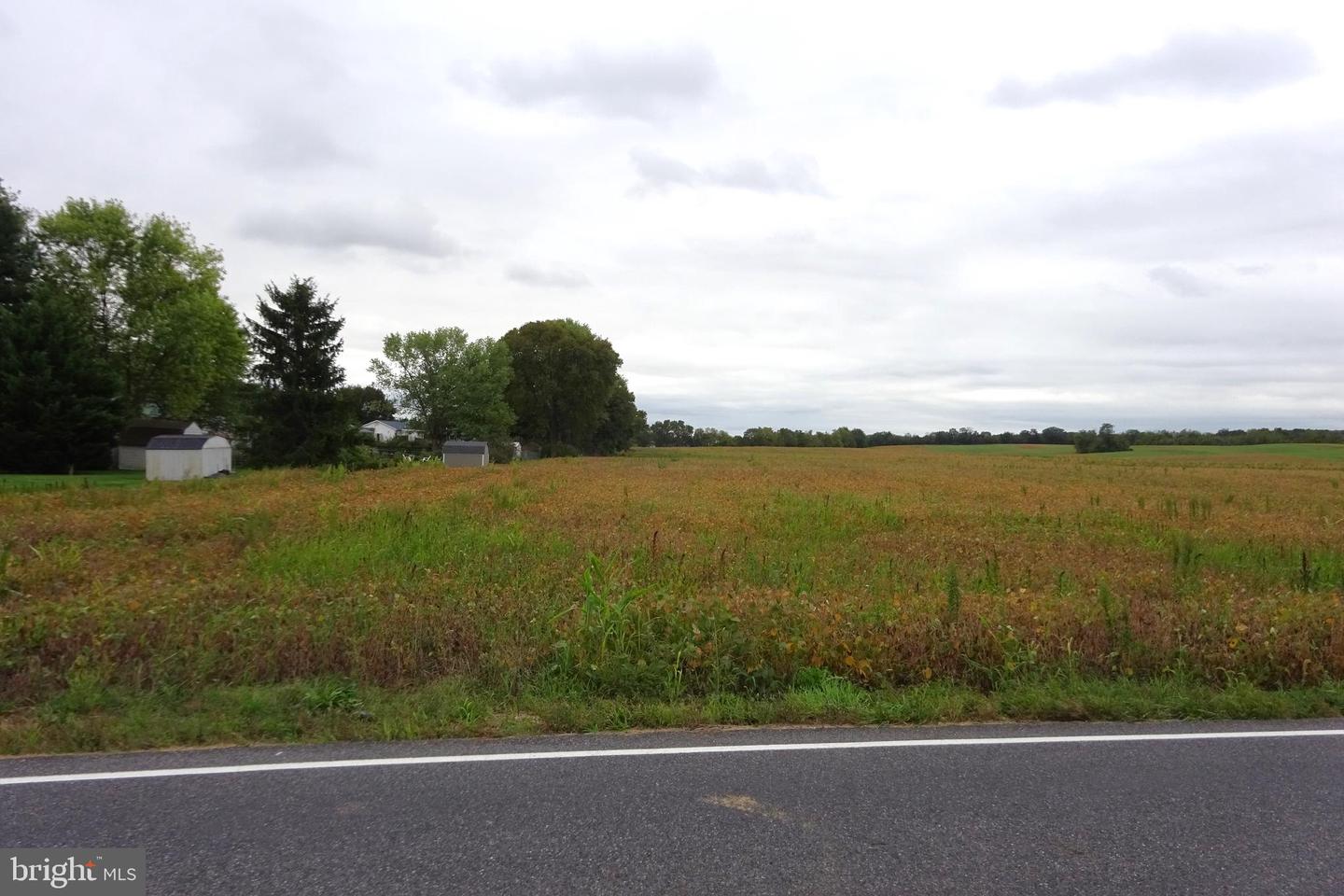 0 Grant Shook Road Property Photo 4