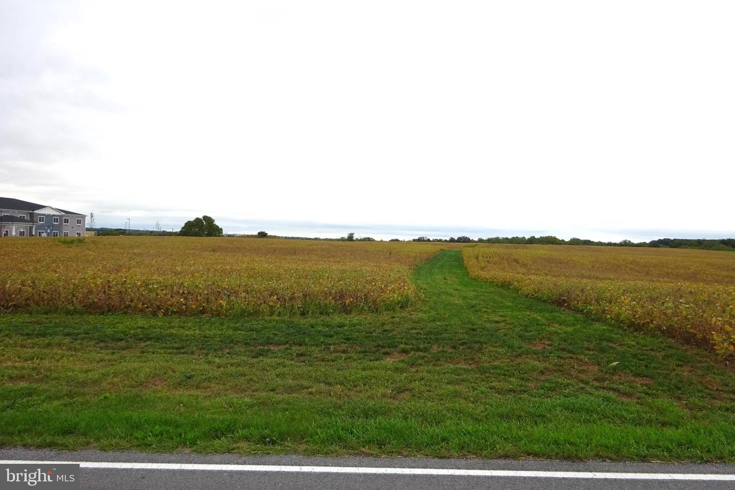 0 Grant Shook Road Property Photo 5