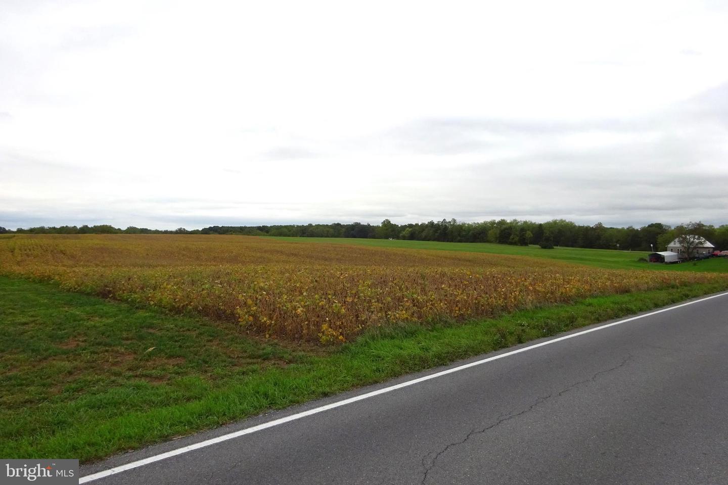 0 Grant Shook Road Property Photo 6