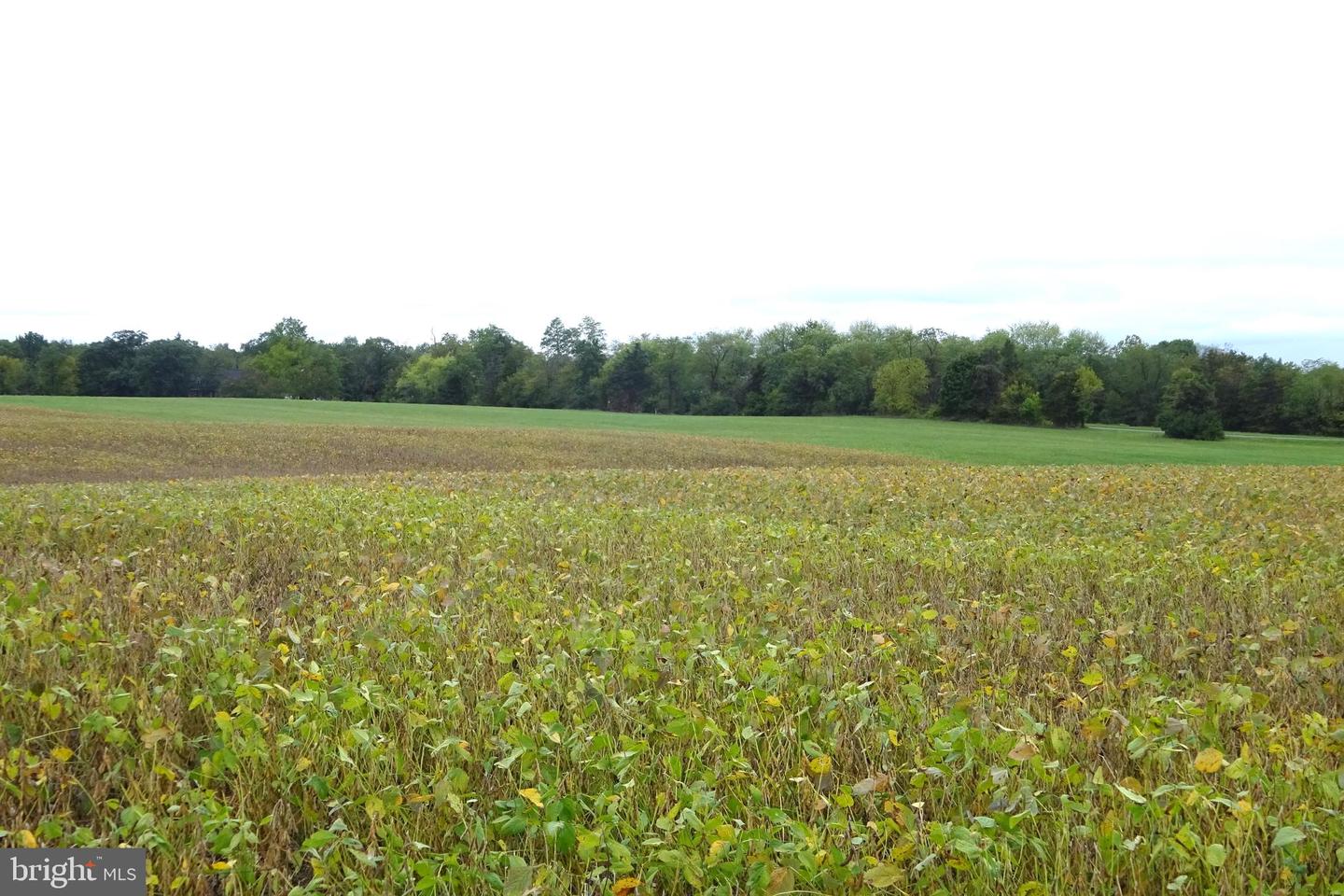 0 Grant Shook Road Property Photo 7