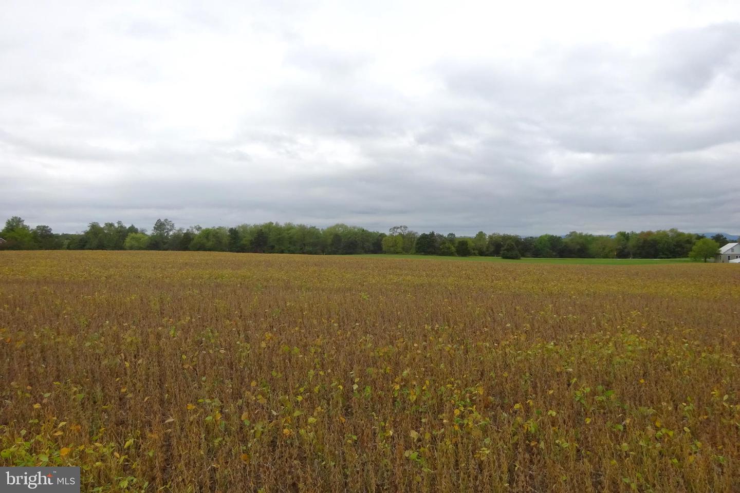 0 Grant Shook Road Property Photo 10