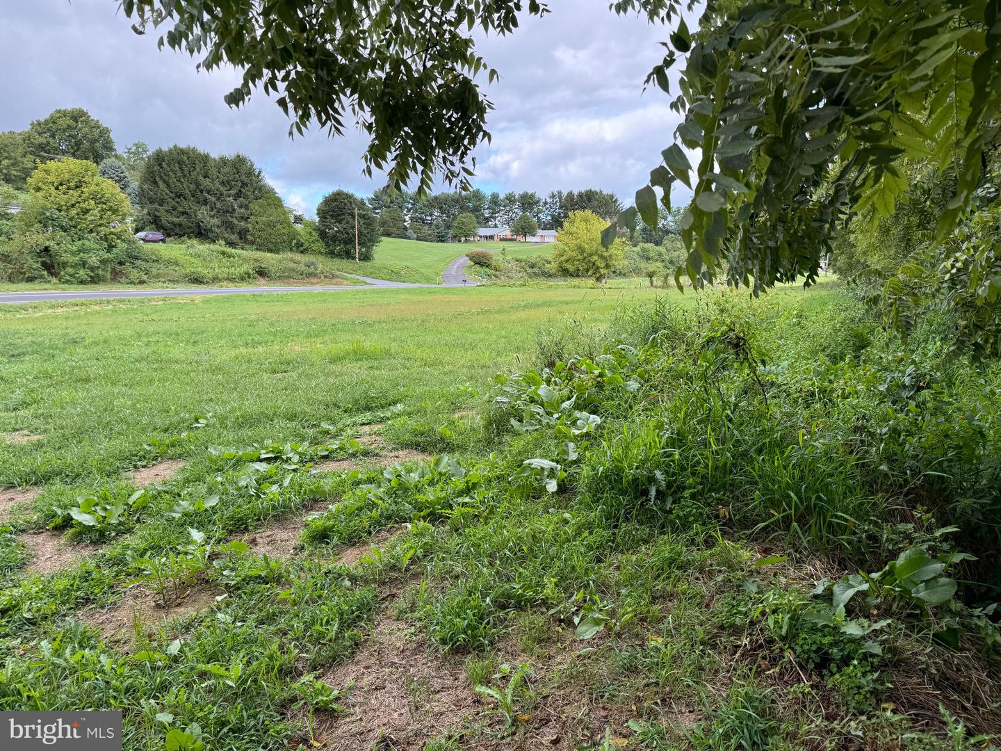 1.37+- Acres Clay Hill Road Property Photo 15