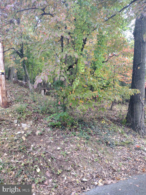 0 Skiway Ave Property Photo 2