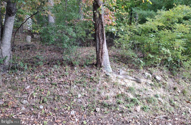 0 Skiway Ave Property Photo 3