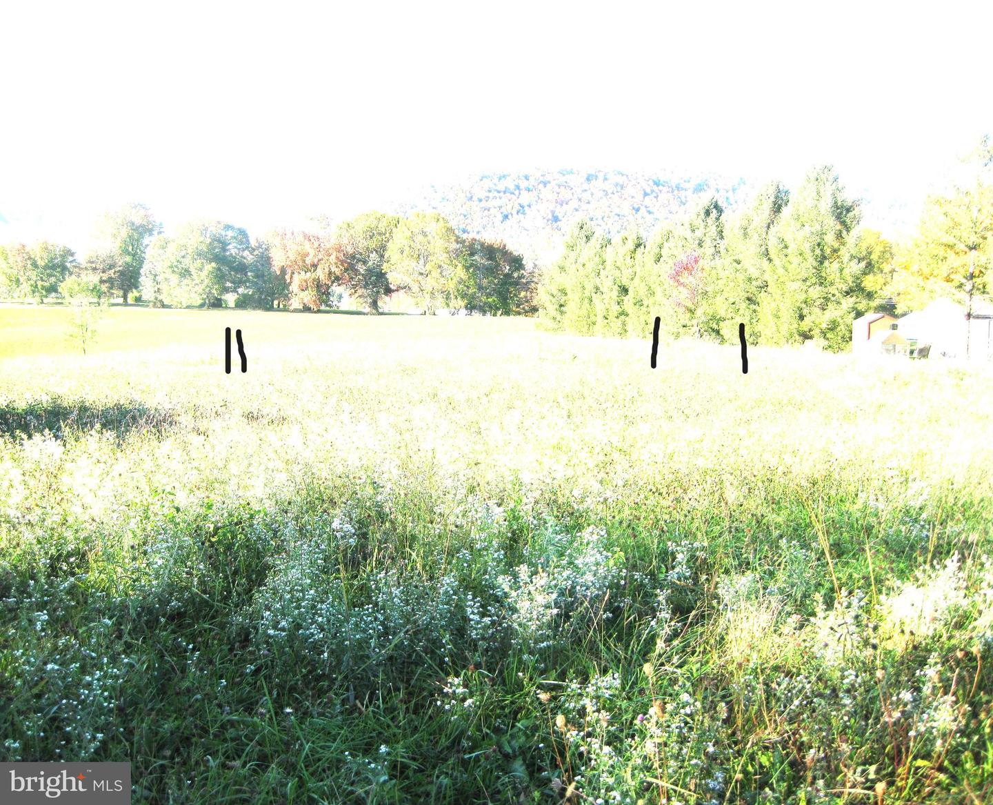 0 Hill Road Property Photo 3