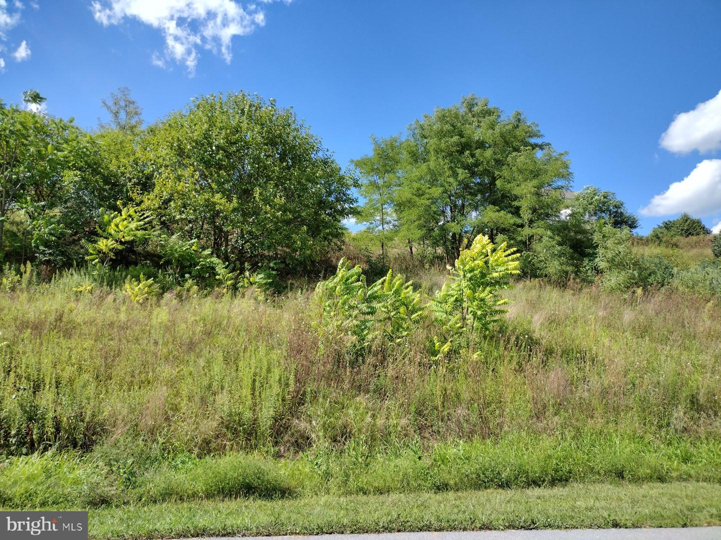 11555 Mystic Rock Ln N Property Photo