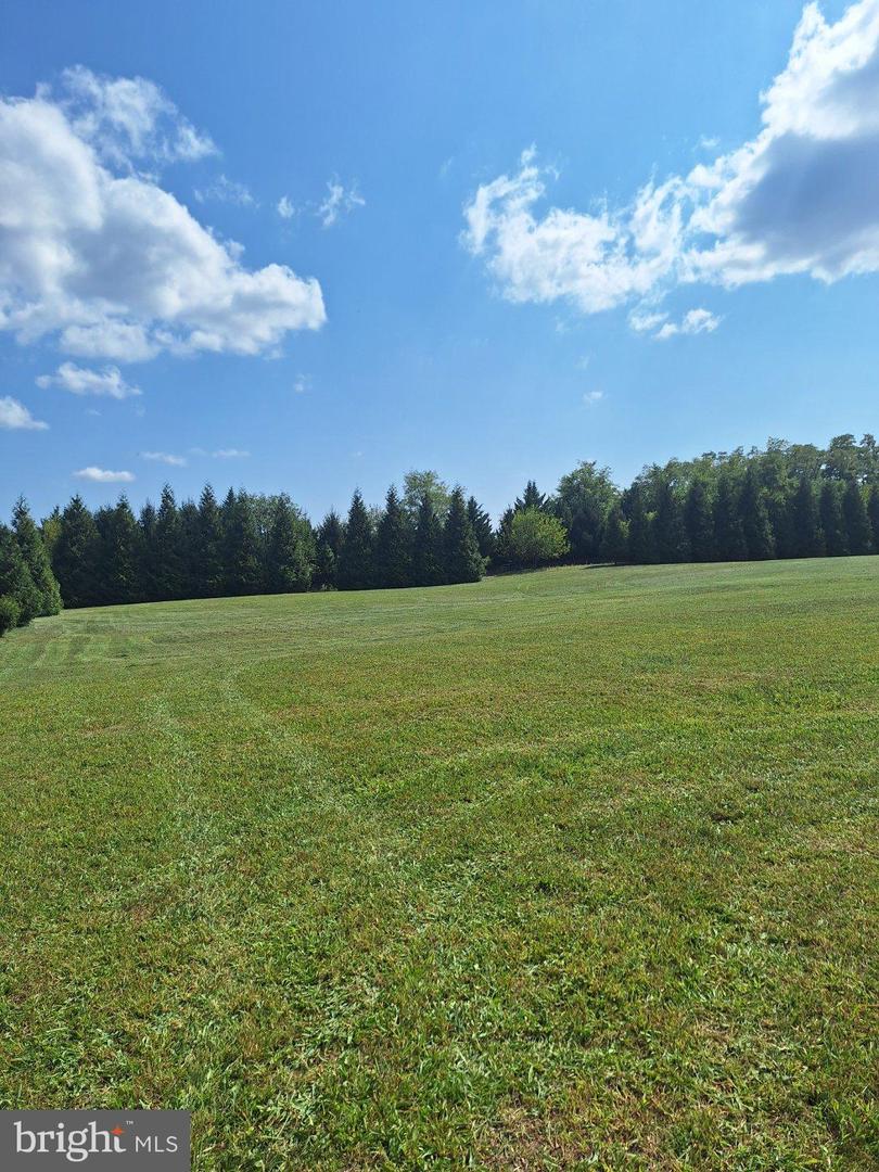 James Buchanan Real Estate Listings Main Image