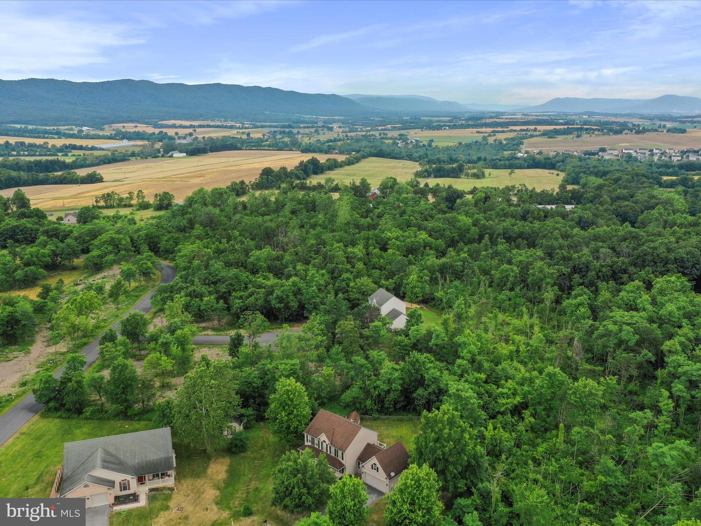 10958 Doeshire Ter Property Photo 62