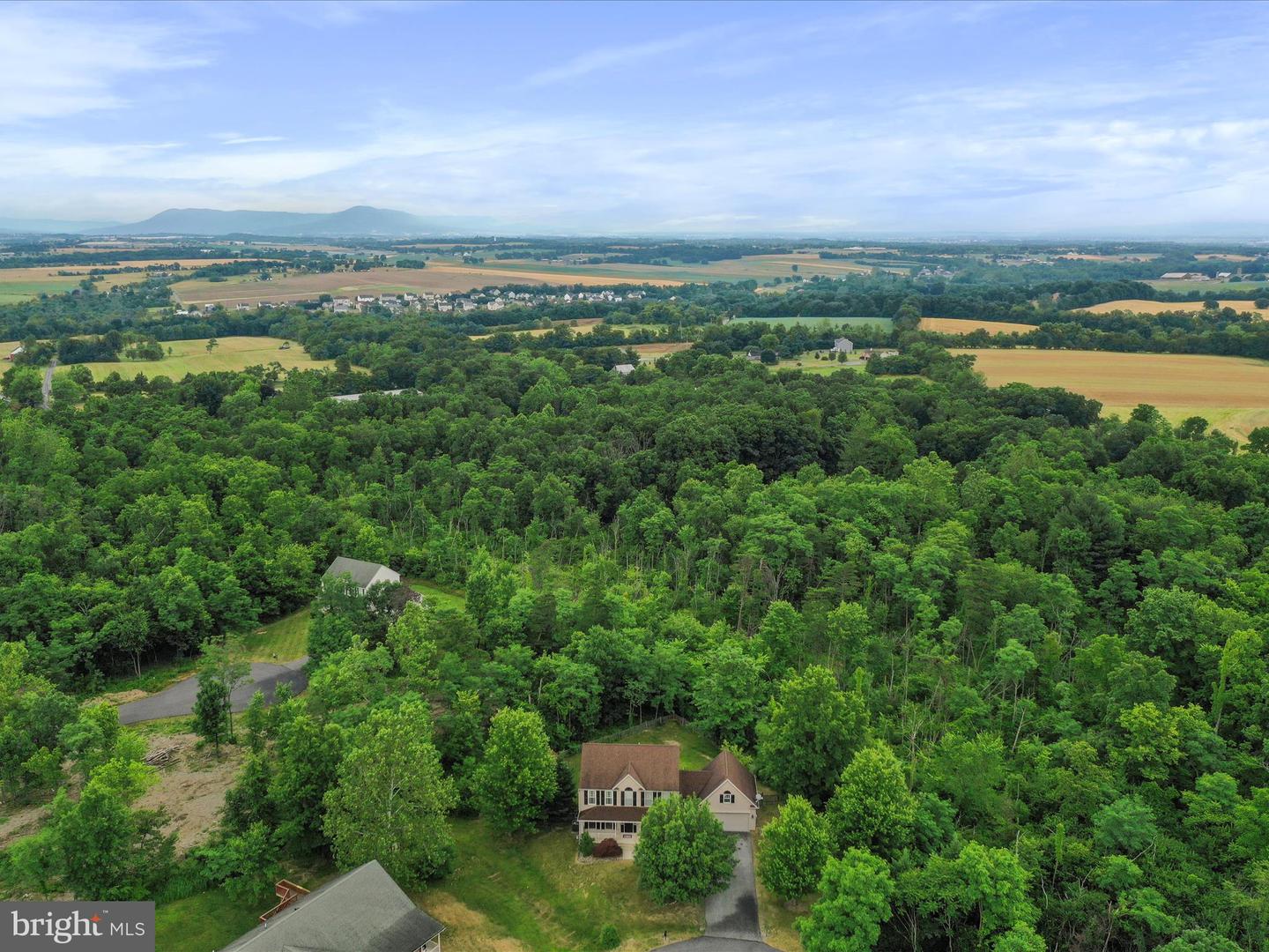 10958 Doeshire Ter Property Photo 63