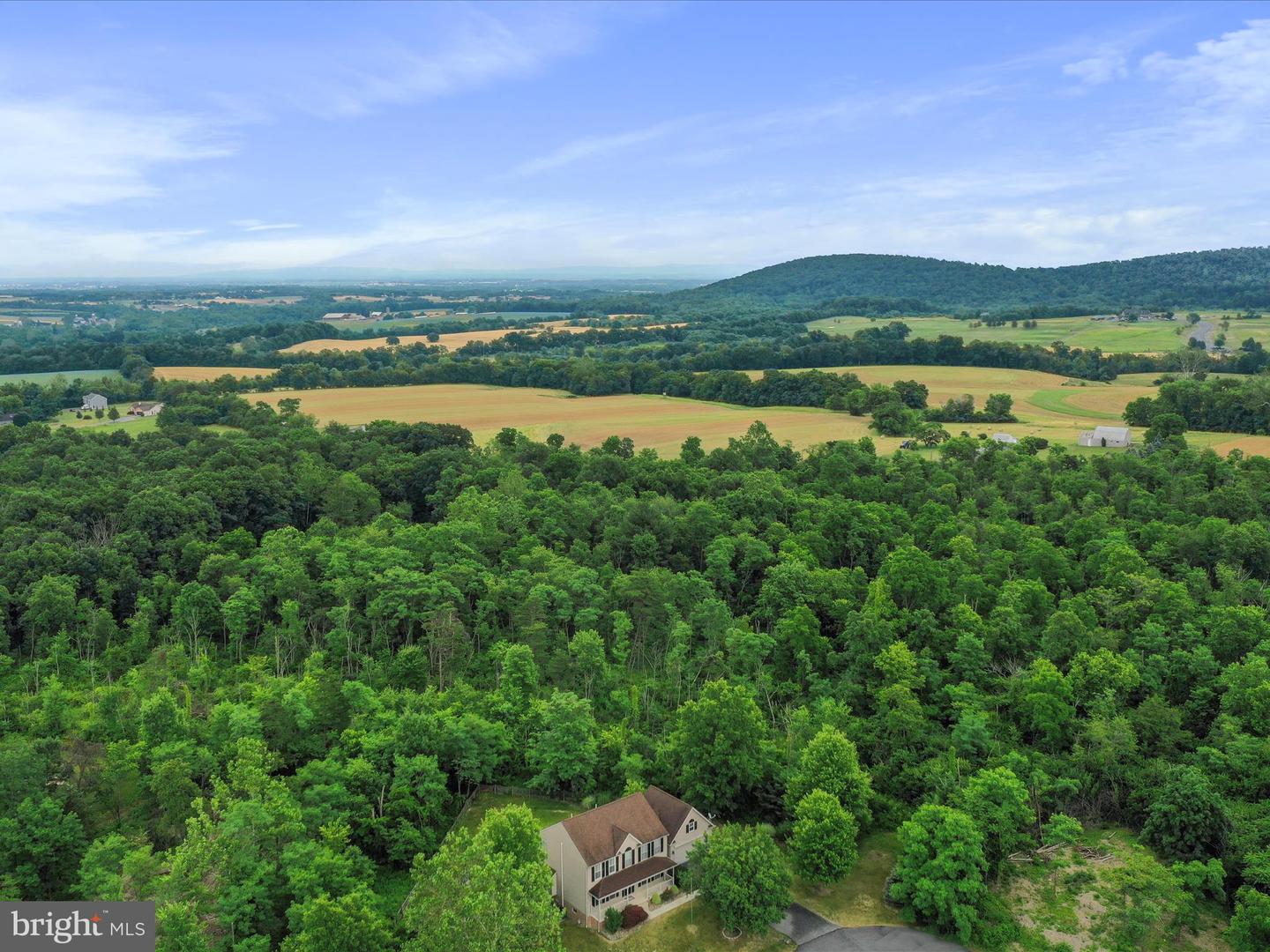 10958 Doeshire Ter Property Photo 64