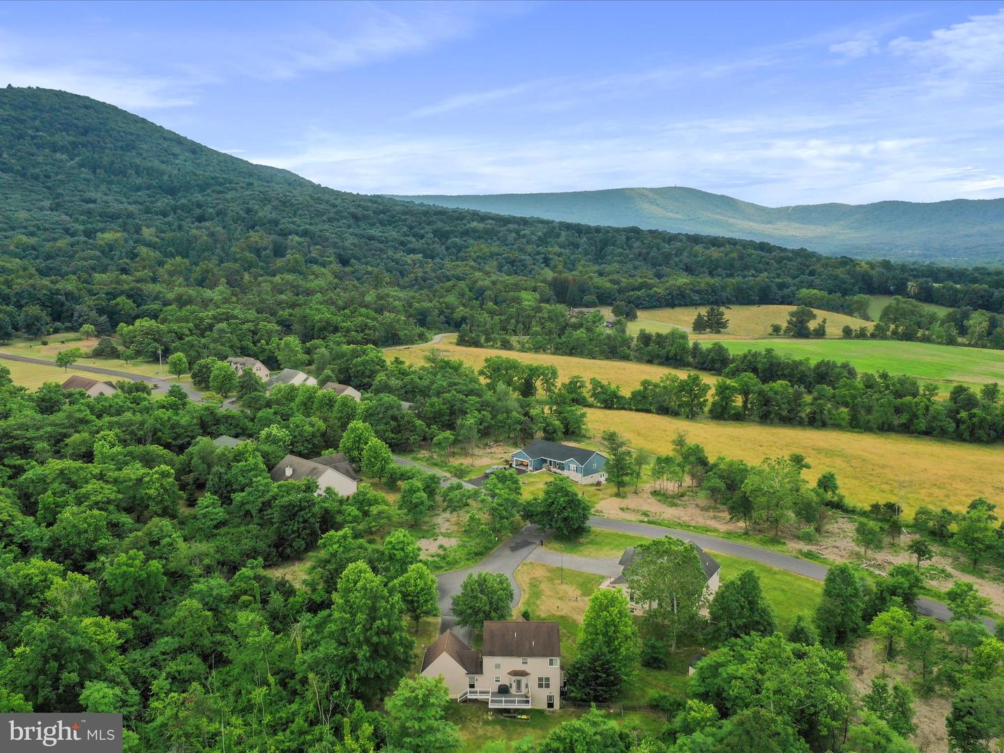 10958 Doeshire Ter Property Photo 67