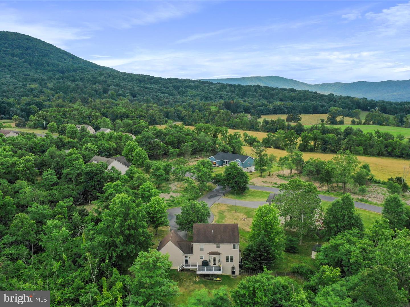 10958 Doeshire Ter Property Photo 68