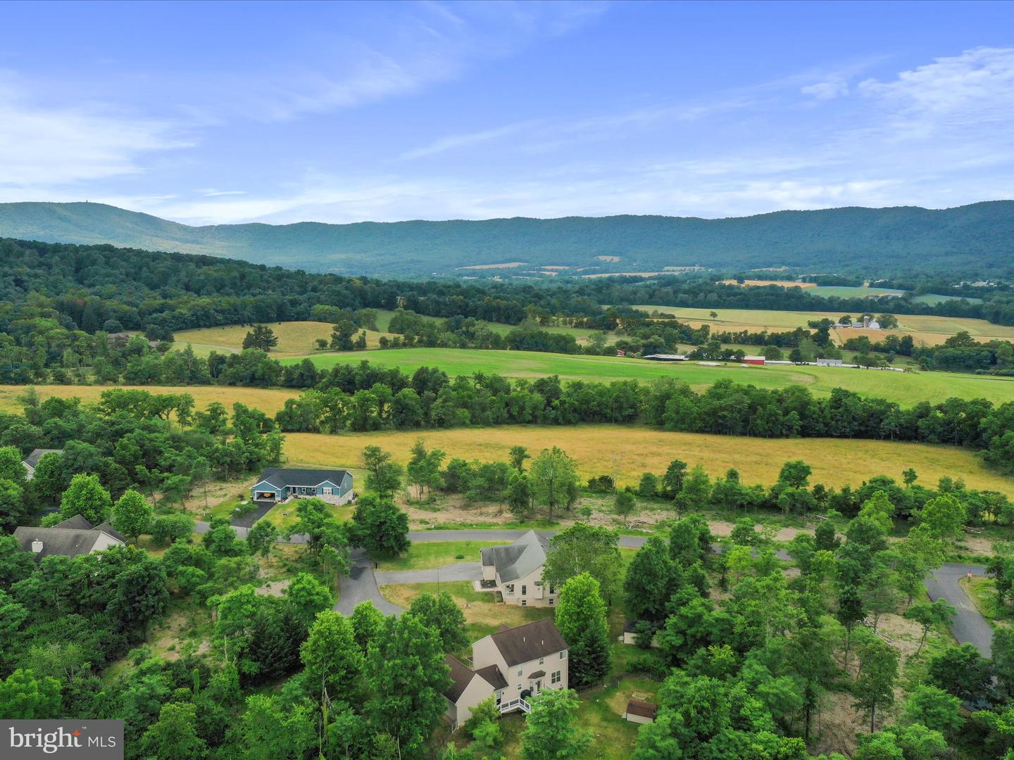 10958 Doeshire Ter Property Photo 69